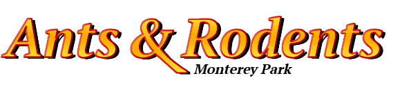 Monterey Park Ant Exterminator & Rodent Control Company Logo
